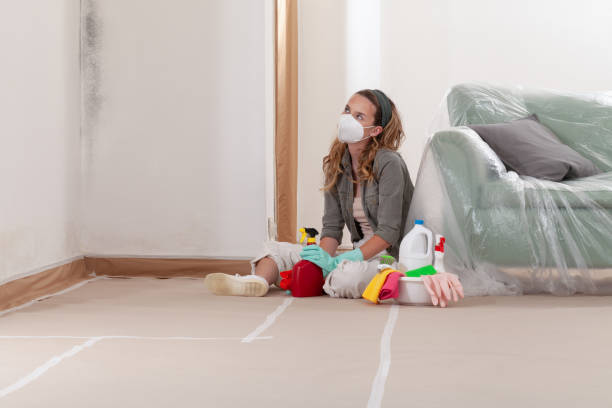 Reliable Mold Cleanup contractor in Unionville, NC by Cheap Mold Removal