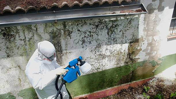 Trusted Black Mold Removal service in Unionville, NC - Cheap Mold Removal